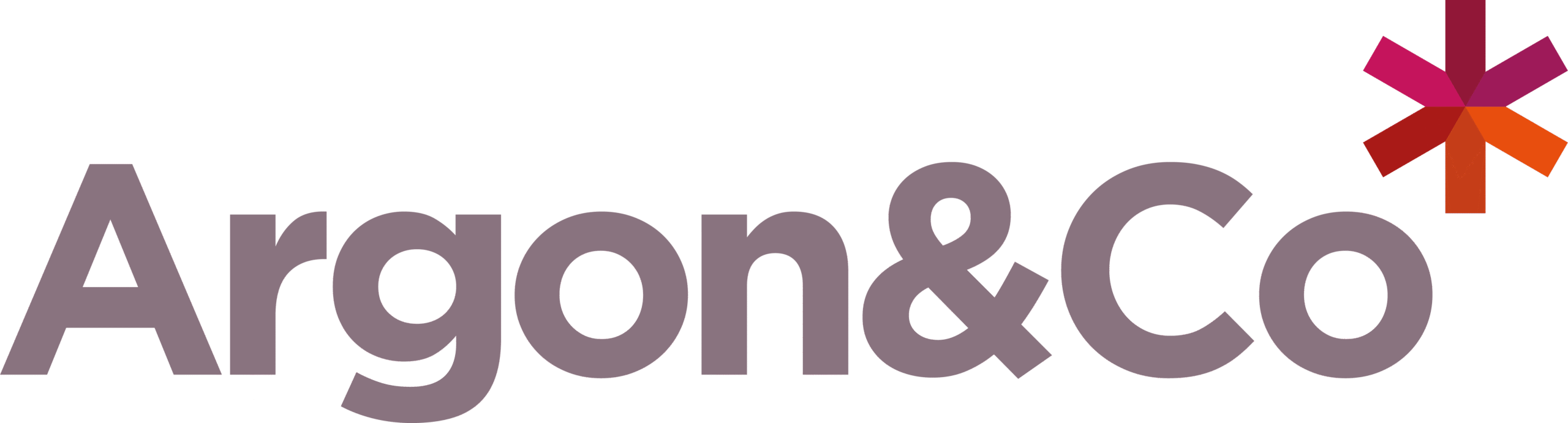 The Logo for Argon & Co